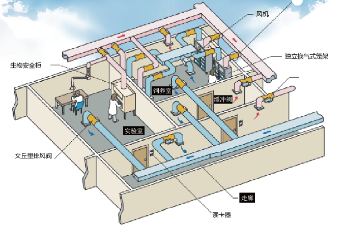 实验室气体管路系统